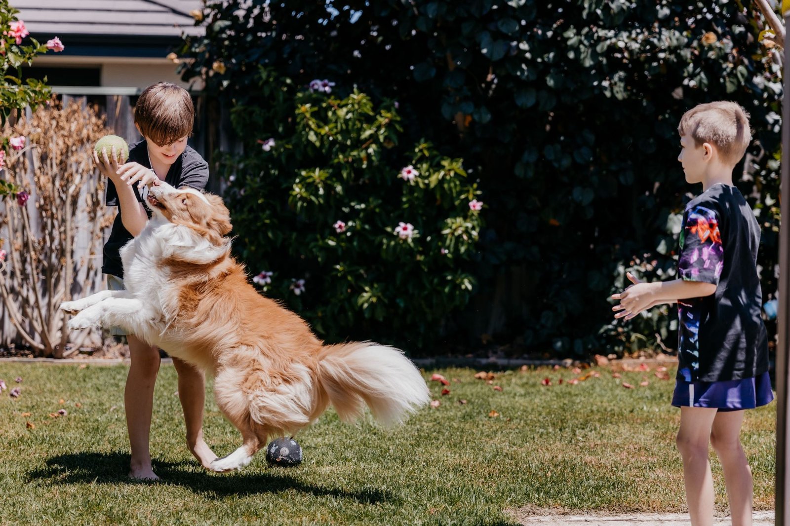Children Playing
