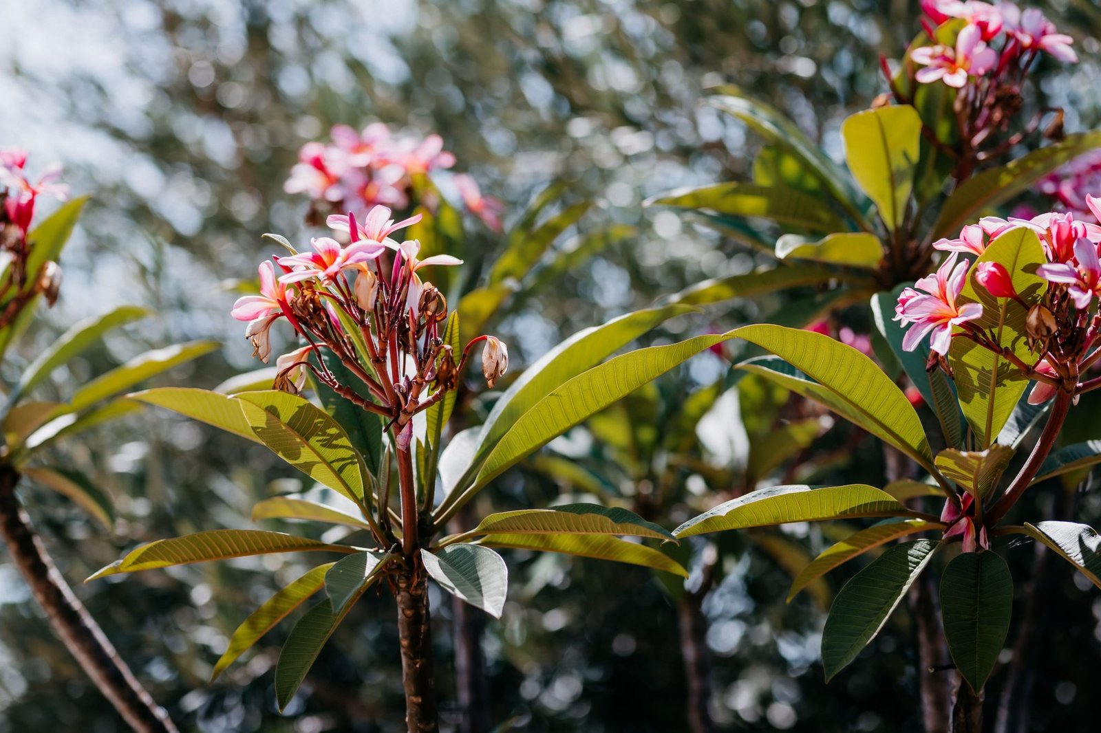 Website Photo 7